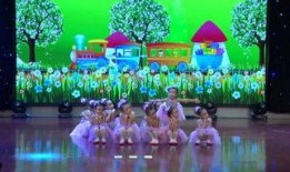 保定幼儿园爆料视频播放,揭秘幼儿教育现状