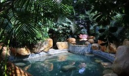 临沂温泉爆料事件始末视频,真相与争议的漩涡