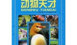 走进科学在线观看,走进科学在线观看之旅